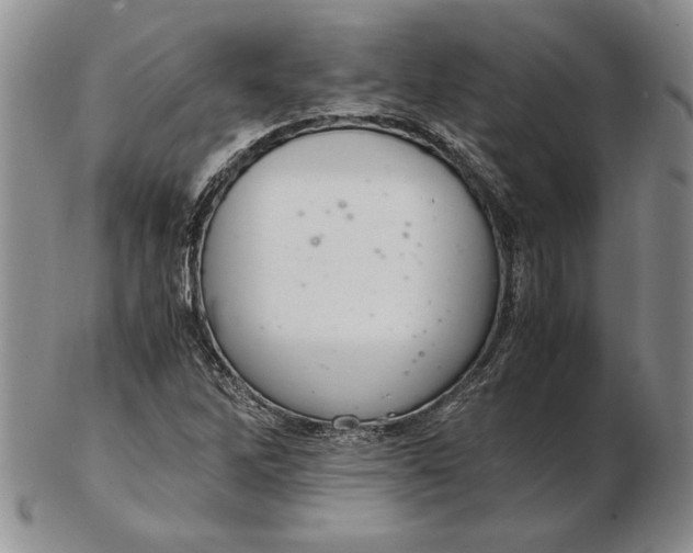 X0000102381262200808221754