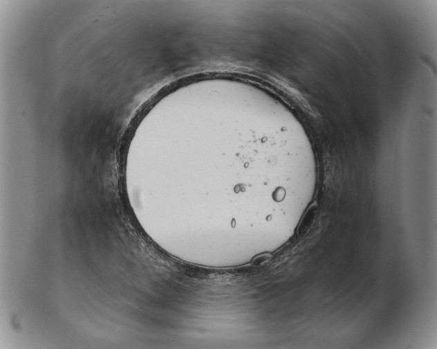 X0000102381264200808221754