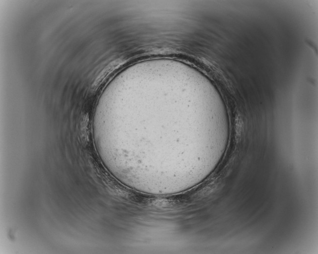 X0000102381265200808221754