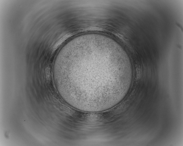 X0000102381266200808221754