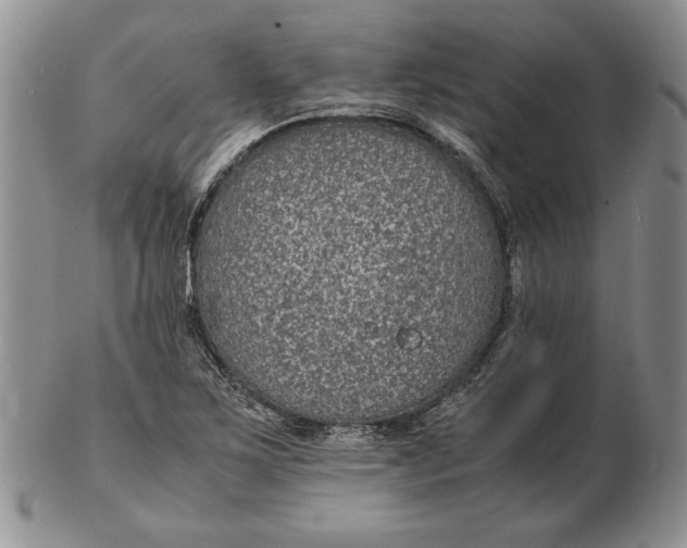 X0000102381267200808221754