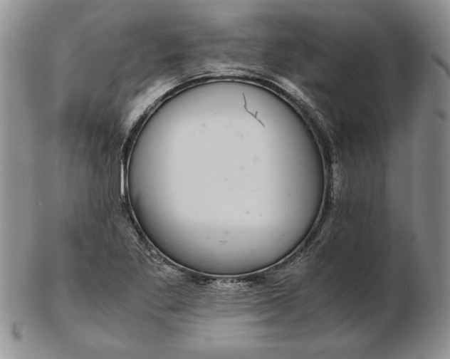 X0000102381269200808221754