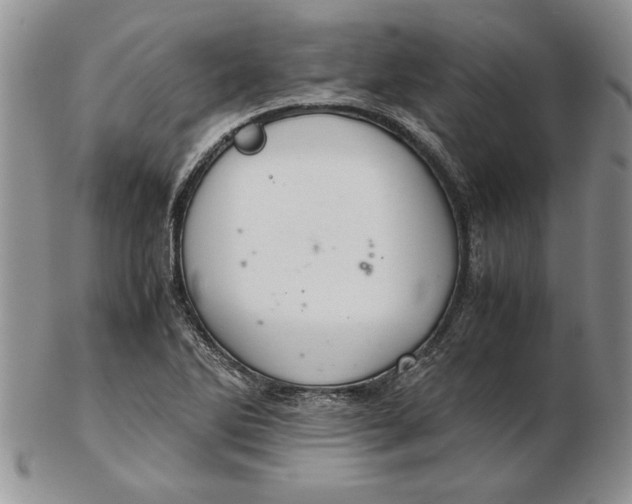 X0000102381270200808221754