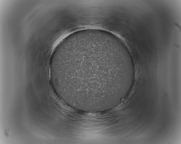 X0000102381271200808221754