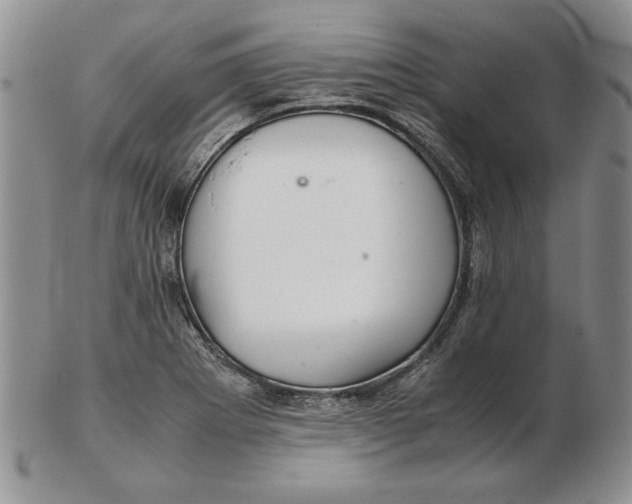 X0000102381273200808221754