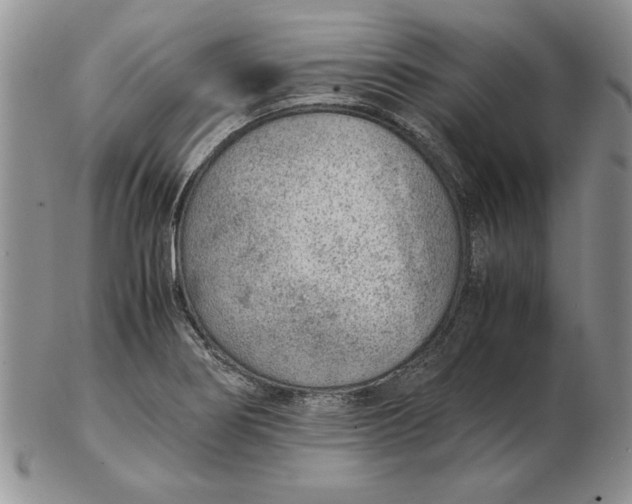 X0000102381274200808221754