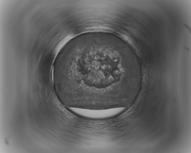 X0000102381275200808221754