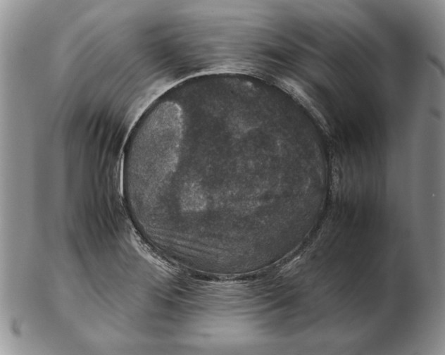 X0000102381276200808221754