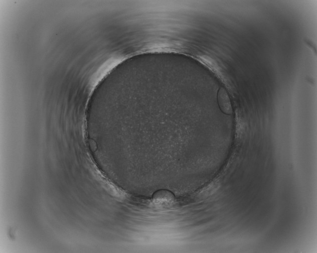 X0000102381277200808221754