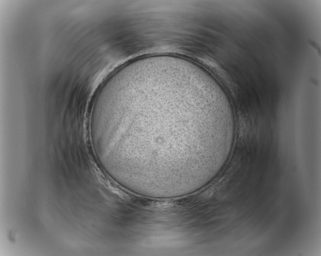 X0000102381278200808221754