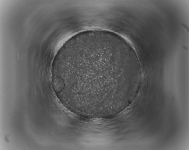 X0000102381279200808221754