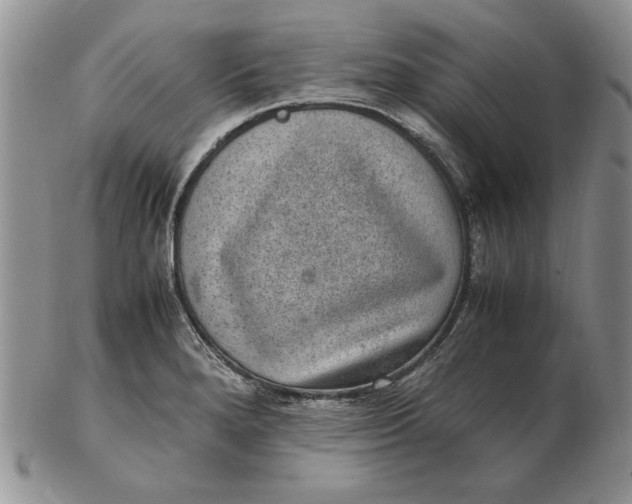 X0000102381280200808221754