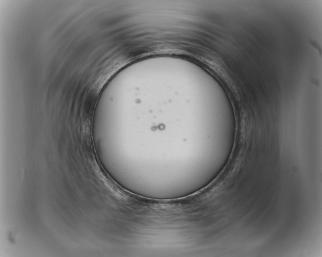 X0000102381281200808221754