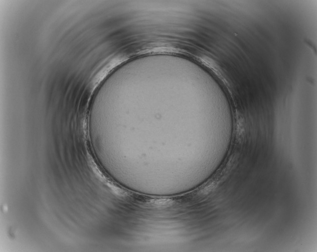 X0000102381282200808221754