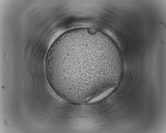 X0000102381283200808221754