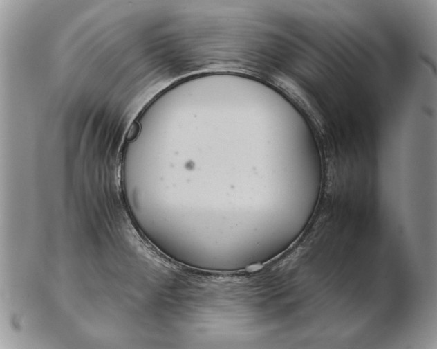 X0000102381284200808221754