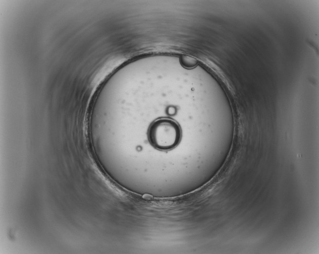 X0000102381285200808221754