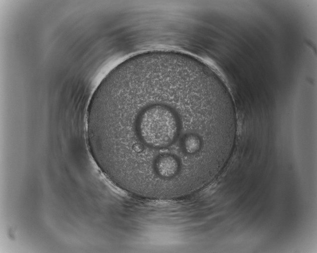 X0000102381287200808221754