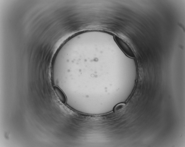 X0000102381288200808221754