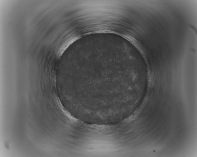 X0000102381289200808221754