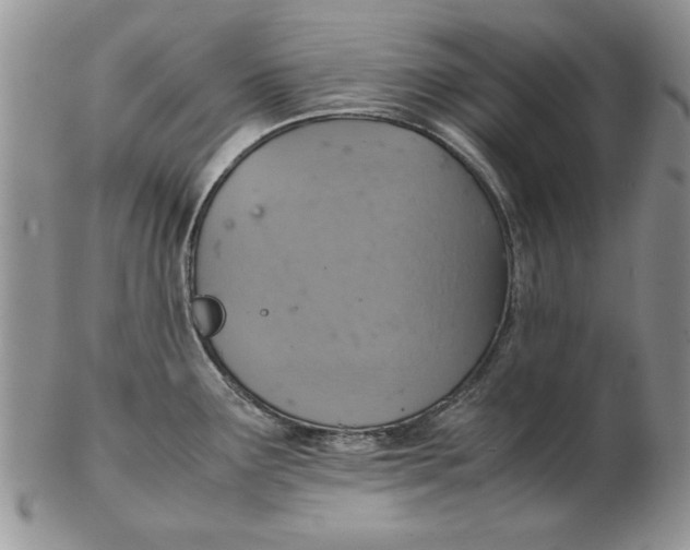 X0000102381291200808221753