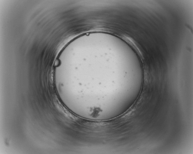 X0000102381292200808221753