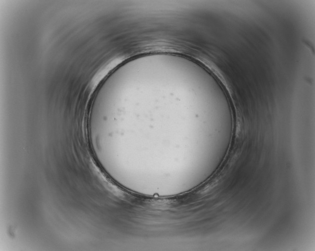 X0000102381293200808221753