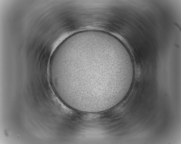 X0000102381294200808221753