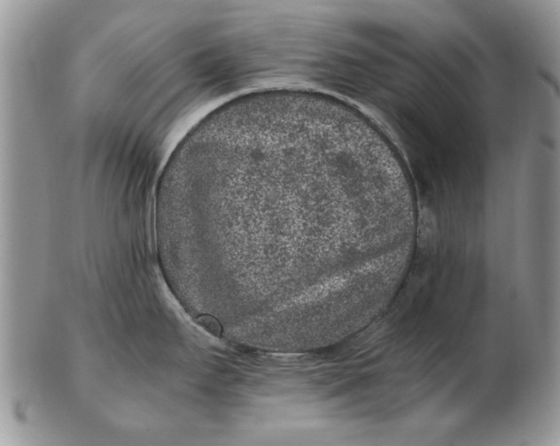 X0000102381295200808221753