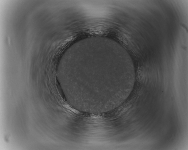 X0000102381297200808221753