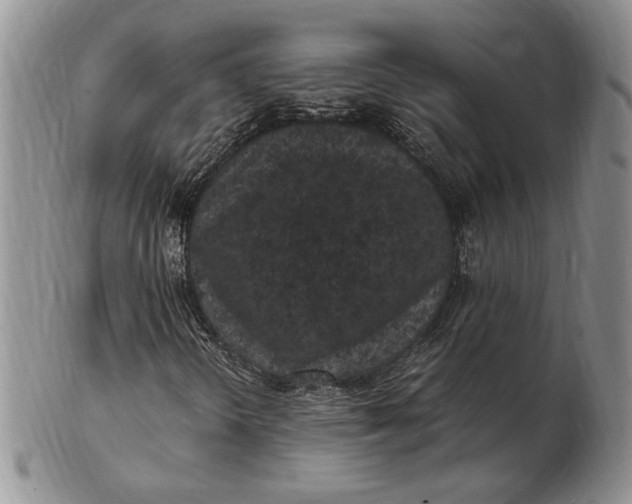 X0000102381298200808221753