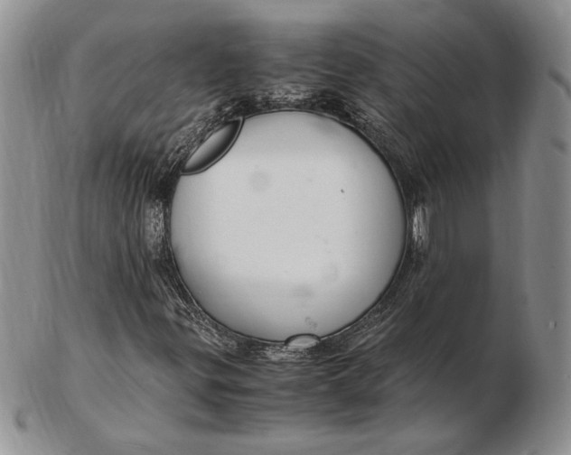 X0000102381299200808221753