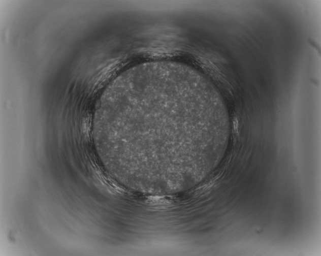 X0000102381300200808221753