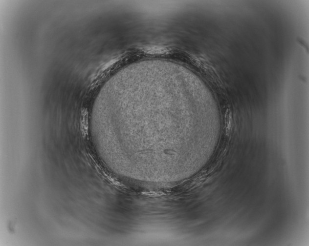 X0000102381301200808221753