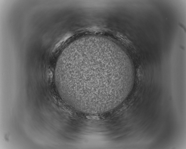 X0000102381302200808221753