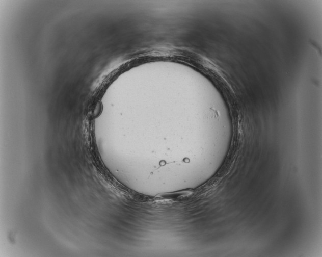 X0000102381304200808221753