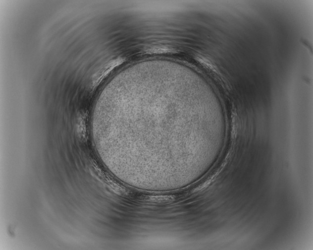 X0000102381305200808221753