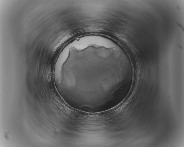 X0000102381306200808221753