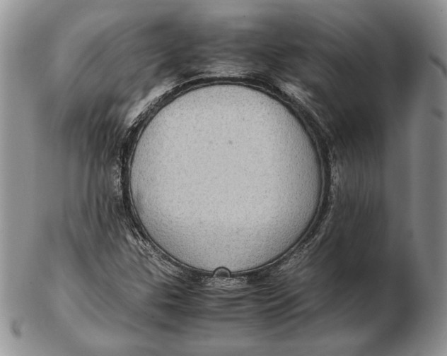 X0000102381307200808221753