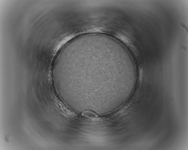 X0000102381308200808221753