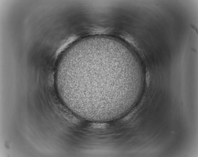 X0000102381309200808221753