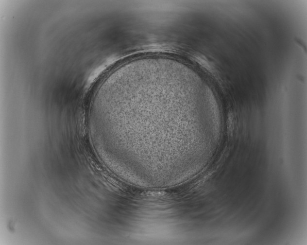 X0000102381310200808221753