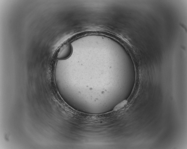 X0000102381311200808221753