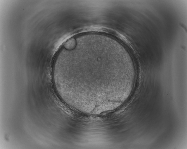 X0000102381312200808221753