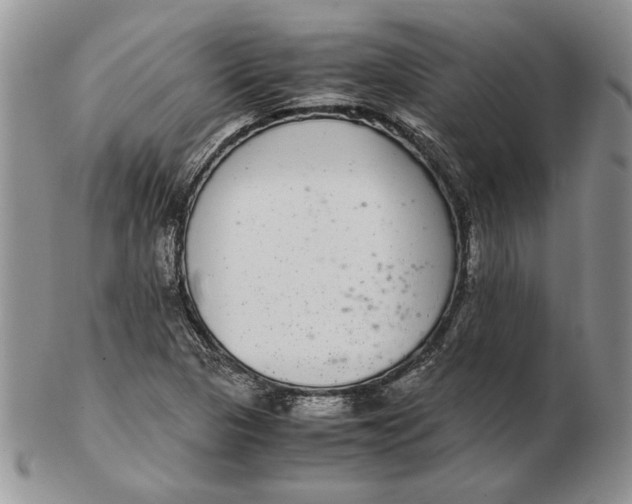 X0000102381313200808221753