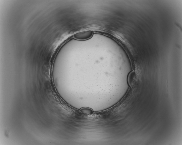 X0000102381316200808221753