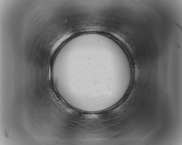 X0000102381317200808221753