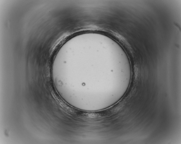 X0000102381318200808221753