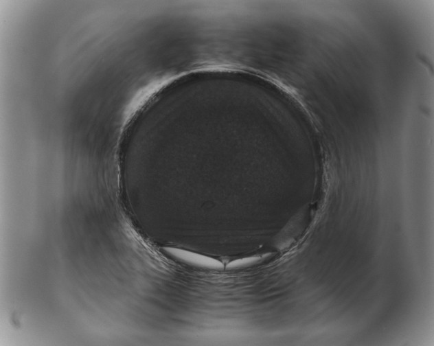 X0000102381319200808221753