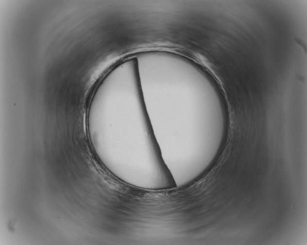 X0000102381320200808221753